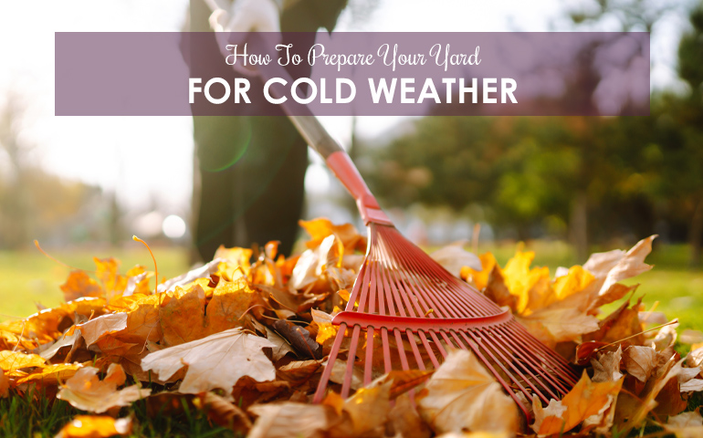How To Prepare Your Yard For Cold Weather